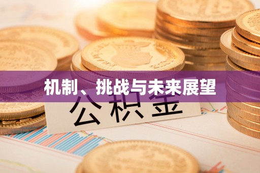 安泽机制、挑战与未来展望